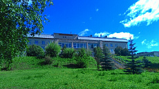 Входная группа Завьяловская больница.  Гольянская,  1б